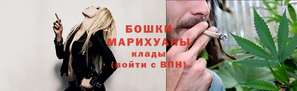 бошки Алексин