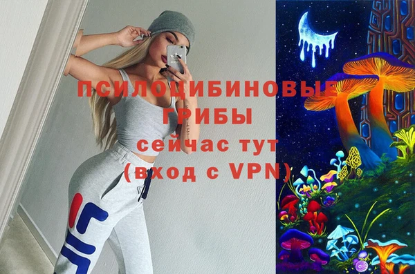 бошки Алексин