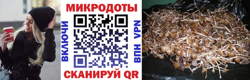 Галлюциногенные грибы мухоморы  Купить закладки  Малаховка 